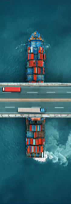 Impatti sulla supply-chain Impatti sulla supply-chain