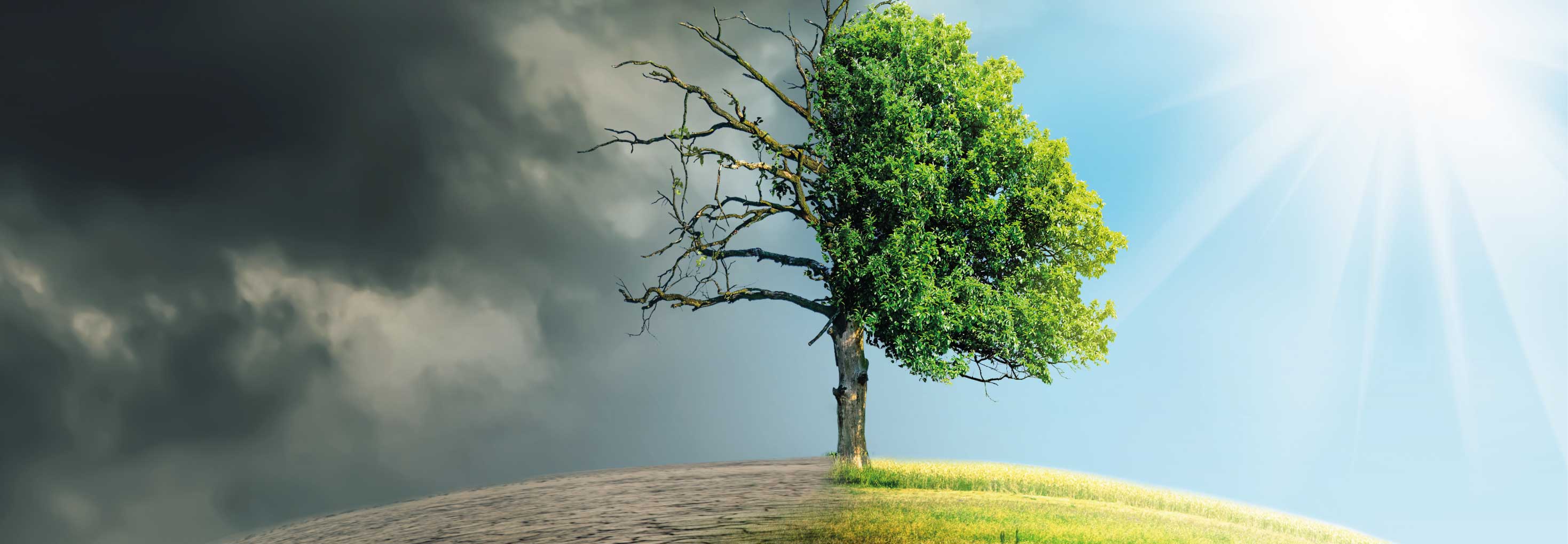 Unipol Gruppo nell'European Alliance for Green Recovery