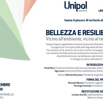 Bellezza e Resilienza - Programma