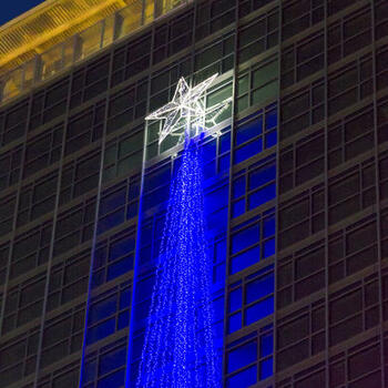 WAITING FOR MAGIC | TORRE GALFA CHRISTMAS TREE - 29/11/2018