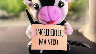 Incredible, but true - Spot TV 2015